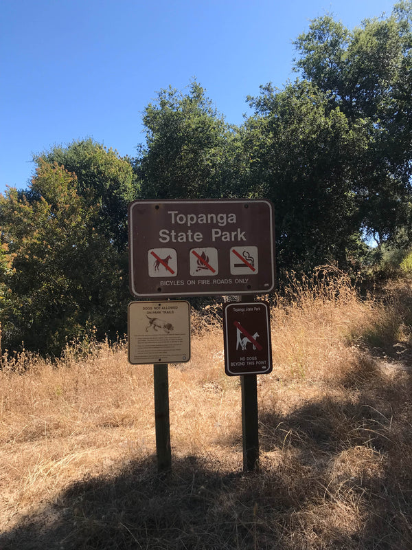 July 2019 - One Tree Planted in Topanga